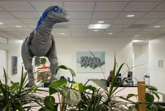 Dino Dental Pediatric Orthodontics, Colorado Springs