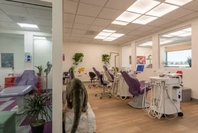 Dino Dental Pediatric Orthodontics, Colorado Springs